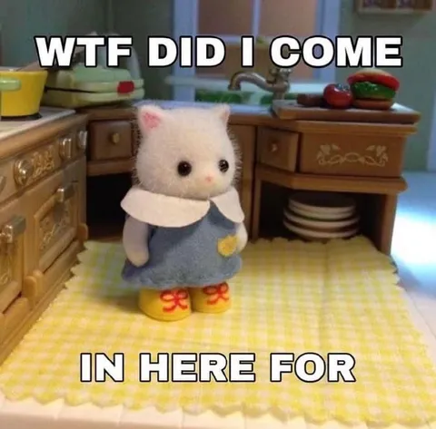 WTF Did I Come In Here For