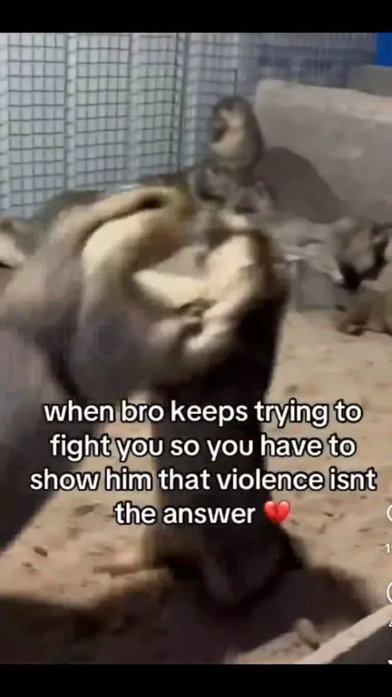 When Violence Isn't the Answer