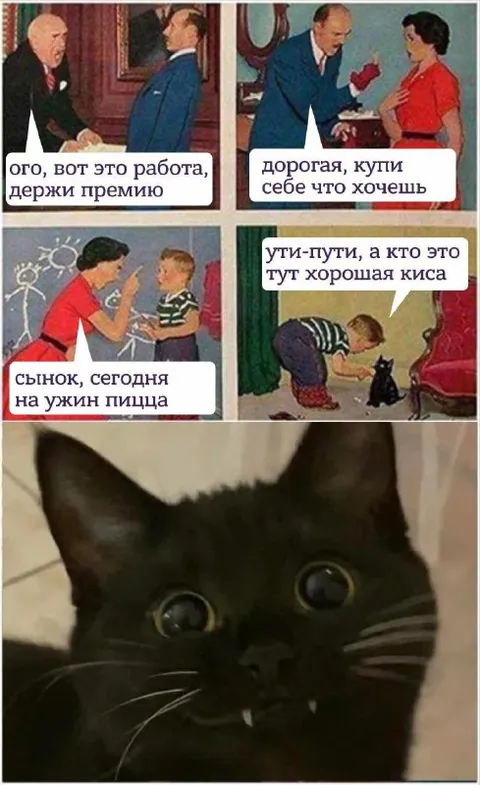 Киса услышала про премию
