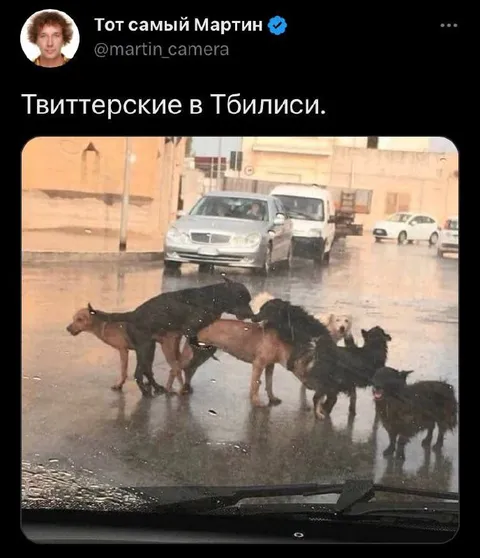 Твиттерские в Тбилиси под дождём