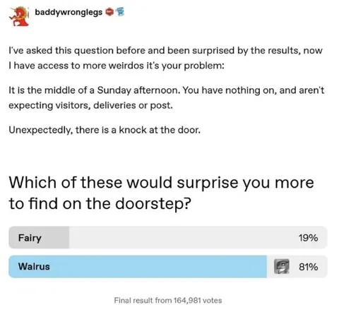 Unexpected Walrus at the Door
