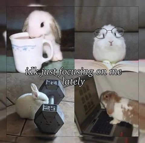 Rabbit Focusing on Me