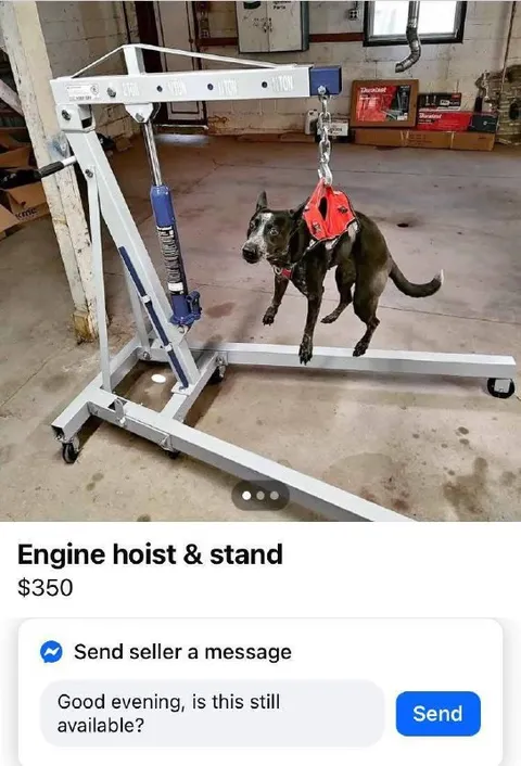 Dog Engine Hoist Listing