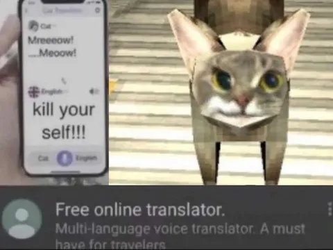 Cat Translator Fail