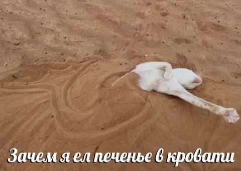Печенье в кровати