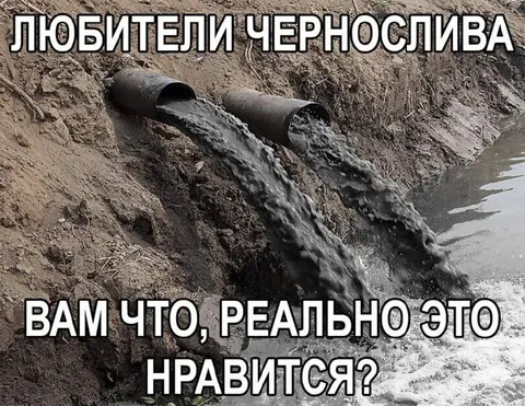 Любители чернослива
