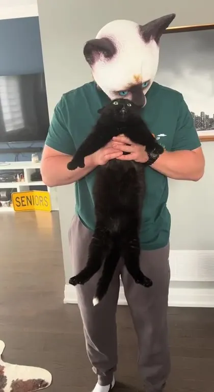 Кот целует чёрного кота