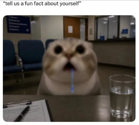Tell Us a Fun Fact About Yourself