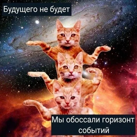 Коты обоссали горизонт событий