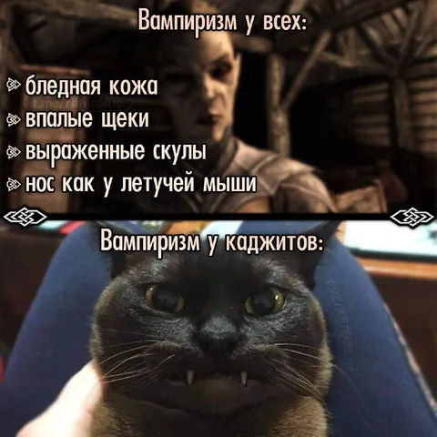 Вампиризм у каджитов