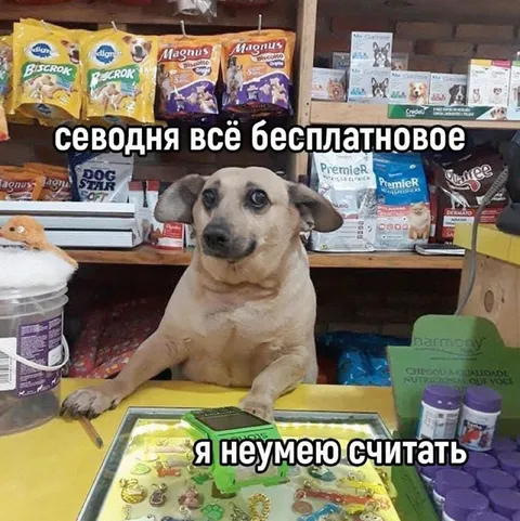 Собака считает всё бесплатным