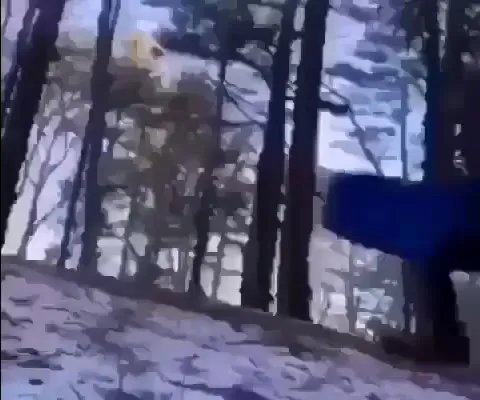 Неудачное падение в снегу