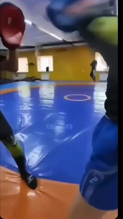Неожиданный удар по лапе