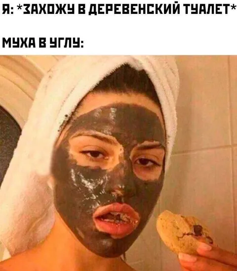 Муха в углу деревенского туалета