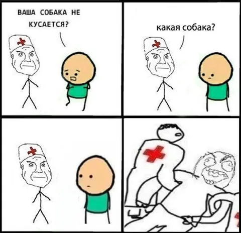 Ваша собака не кусается?