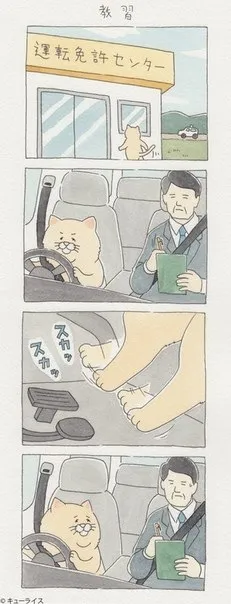 猫が運転する教習所