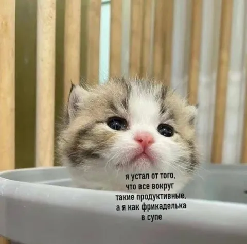 Устал быть фрикаделькой в супе