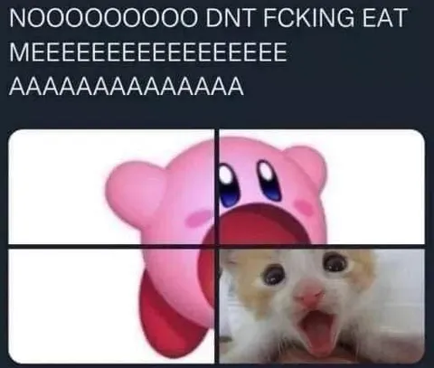 Kirby and Cat Panic