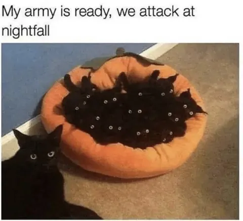 Black Cat Army Attack