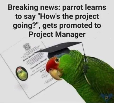 Parrot Becomes Project Manager