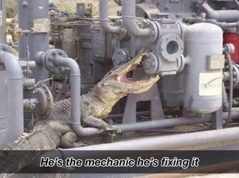 Alligator Mechanic Fixing Machinery