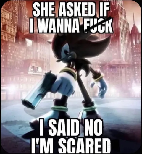 Shadow the Hedgehog Is Scared