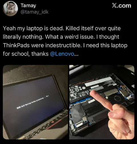 ThinkPad Self-Healing Disaster