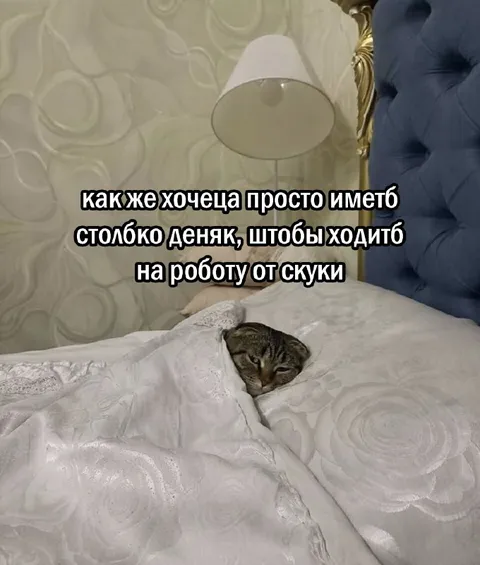 Хочется денег ходить на работу