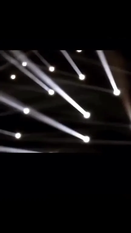 Korn Turns Into Cat Chaos