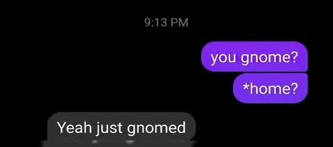 You Gnome? Texting Joke