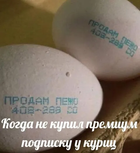Когда не купил премиум подписку