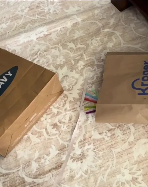 Cat Hiding Between Grocery Bags