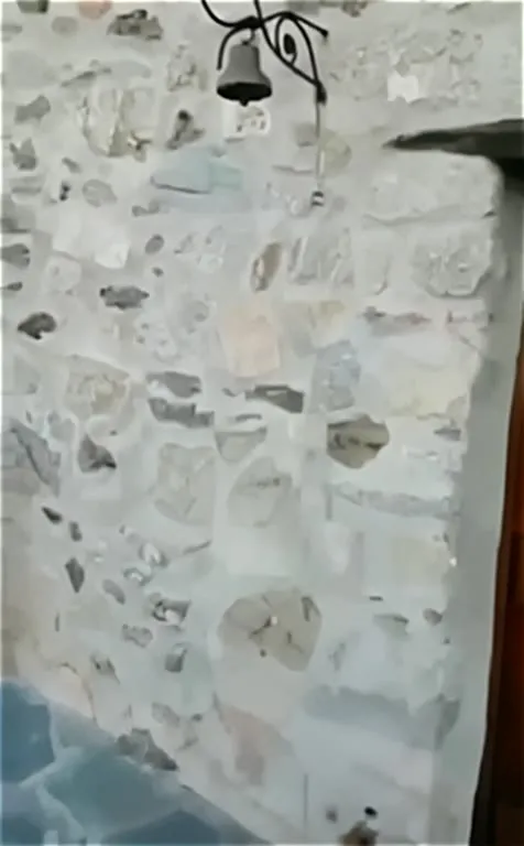 Кот карабкается по стене
