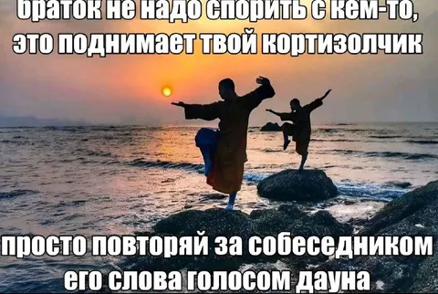 Повторяй слова собеседника голосом дауна