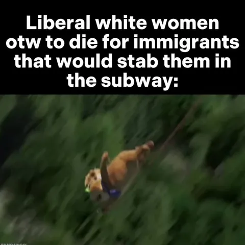 Liberal women ziplining for immigrants
