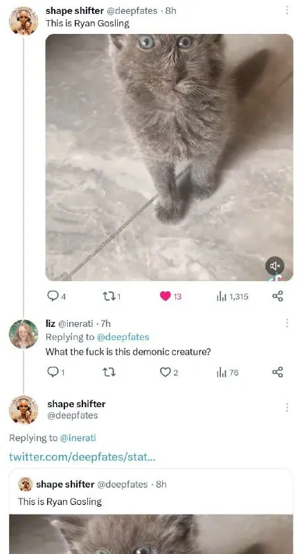 This Is Ryan Gosling Cat