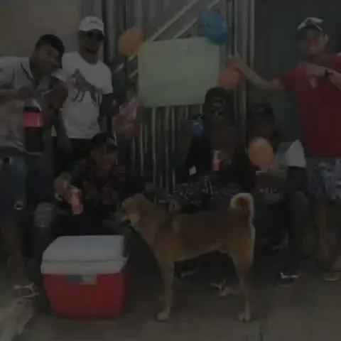 Aniversário do Lobinho com cachorro