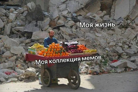 Коллекция мемов среди руин