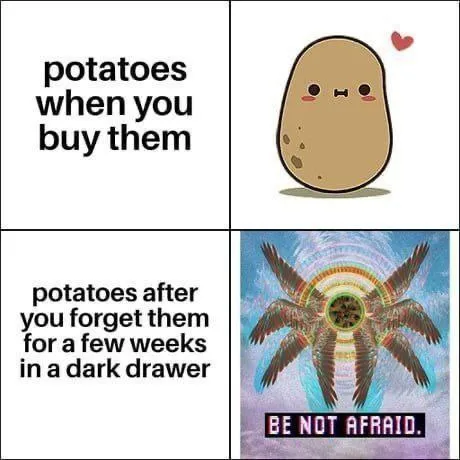 Potatoes After a Few Weeks