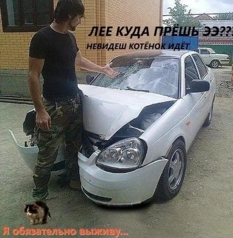 Котёнок обязательно выживет