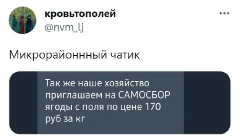 Самосбор ягоды за 170 рублей
