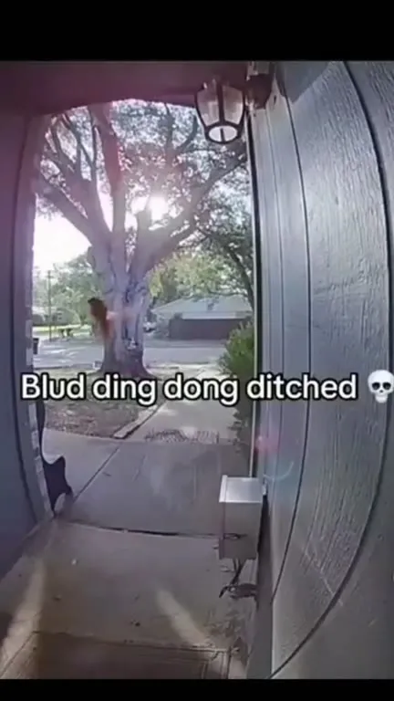 Blud Ding Dong Ditched