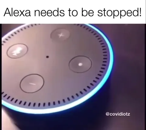 Alexa Needs To Be Stopped