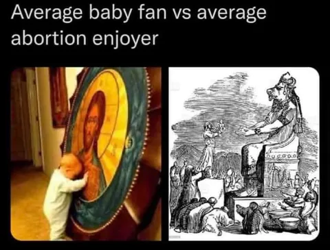 Baby Fan vs Abortion Enjoyer