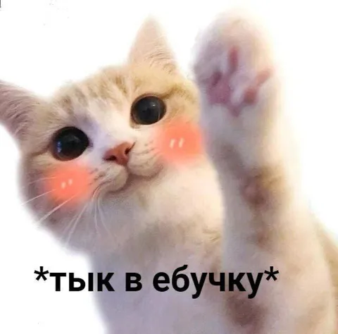 Тык в ебучку