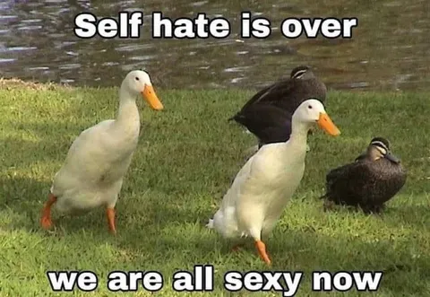 Self Hate Is Over