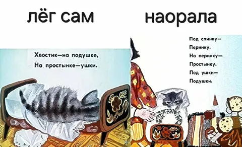 Лёг сам — наорала
