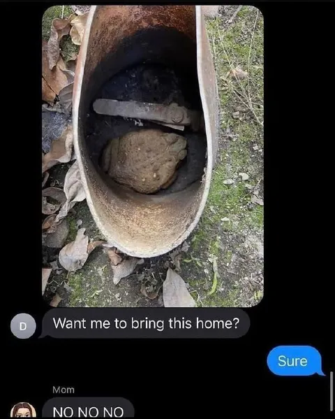 Mom Says No to the Find