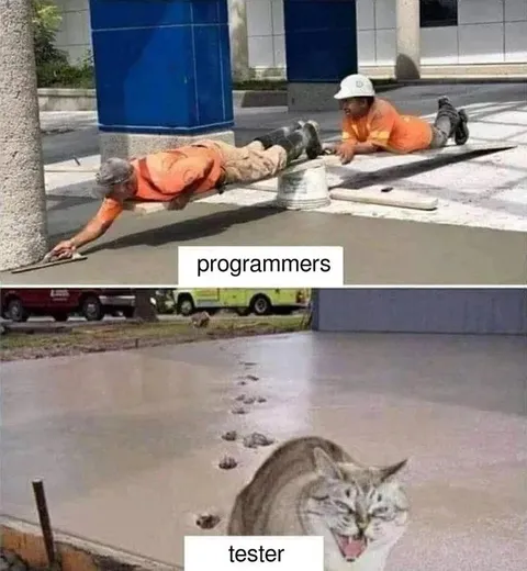 Programmers and Tester
