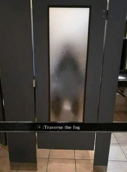 Traverse the Fog Bathroom Door